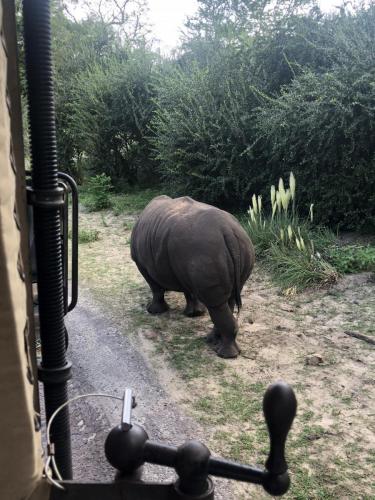 vwnYr%gRRy+iPxEZWO6w1A