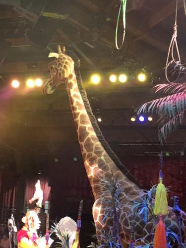 xetgS4uyQn+YECuX5sU+iA