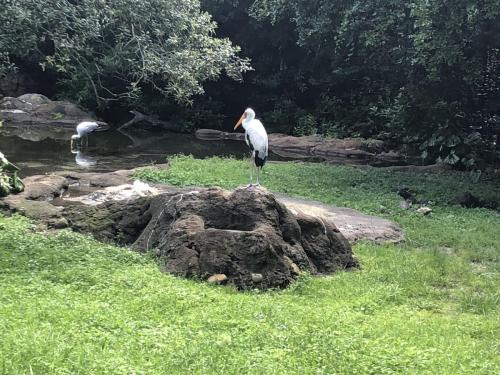 xiV+DfWHS3eeeYnos45DjA