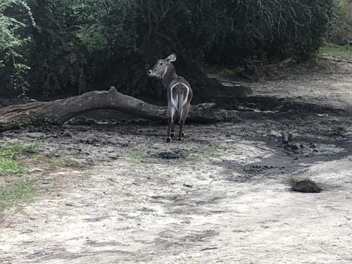 z8okyEWiTaWGgmmzZ92C%A